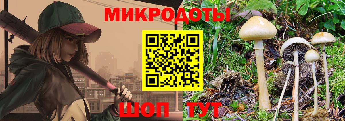 купить наркотик  Галлюциногенные грибы MAGIC MUSHROOMS  Вход с VPN  Псилоцибиновые грибы ЛСД  Волжский 