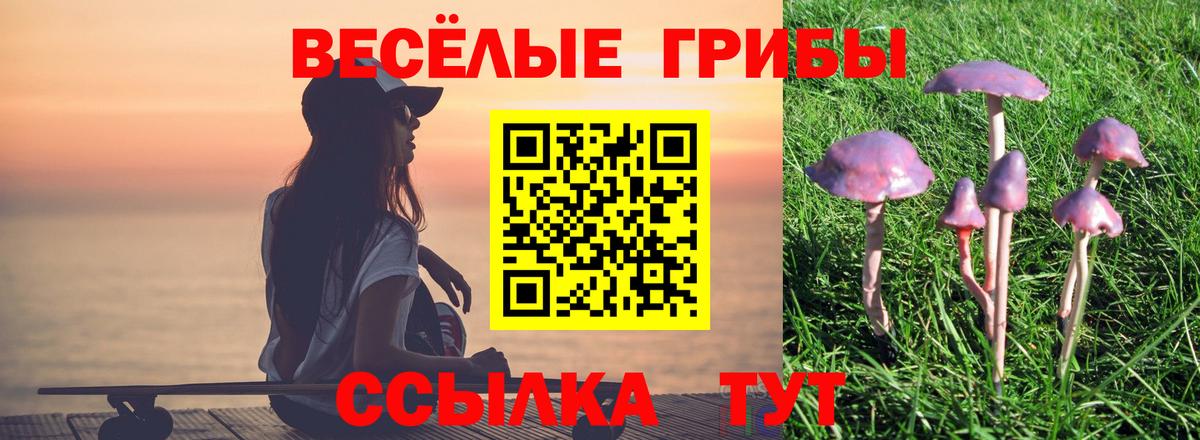 Галлюциногенные грибы Magic Shrooms Волжский
